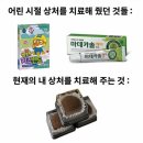 정희과일 | 피쵸퐁•동명동 열도지•수완 줄스시오•광주 과일찹쌀떡 맛집•광주 두바이쫀득쿠키•충장로 시간의 문