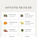 캐터스 이미지