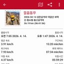 방축교 전