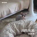 하산점현대자동차 | 본격 가을