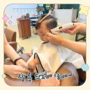살롱드 제이 플랜 | [수지미용실] 아기 미용실 추천, 가격도 착하고 친절한 살롱드제이헤어