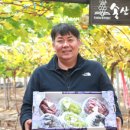 농업회사 팜스토리 주 네이버블로그