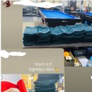 적성당구장 네이버블로그