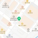 캣그램 광주 고양이분양 이미지