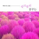 ＜신간＞ 행복은 어디에 있는가를 되새기게 하는 소설 추천! 「핑크뮬리 꿈꾸는 분식집」 (백정미 저 / 보민출판사 펴냄) 이미지