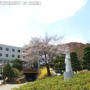 가톨릭대학교 성심교정 이미지