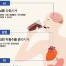 카페인 과다 섭취 부작용 중독 증상 정리 이미지