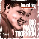 Big Mama Thornton - Hound Dog (1953) 외 14곡 이미지