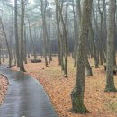 자연휴양림 입구 이미지