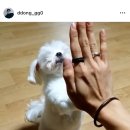 진보랑동우 네이버블로그