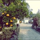 정겨운마을 이미지