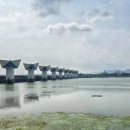 낙동강변로6-14 이미지