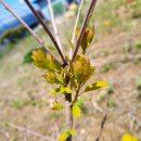 새싹공인중개사사무소 이미지