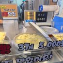 아리아리 분식 | 🌊 속초 중앙시장 먹거리 솔직 후기 [누룽지 오징어순대, 닭강정, 수제식혜, 술빵, 코끼리분식]