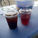 달빛소나타 | [행사] 제16회 달빛소나타 생명사랑 걷기캠페인 후기