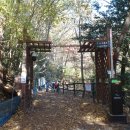 월출산!! 금릉경포대-바람재-남근바위-돼지바위-천황봉 이미지