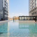 도미니클라바 이미지