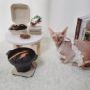 솜바지 다과점 이미지