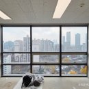 평촌스마트스퀘어_하 | 안양 사무실 커튼 블라인드 설치 후기(평촌 스마트스퀘어)