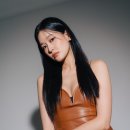 더문컴퍼니 이미지