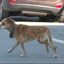 똘이농장 이미지