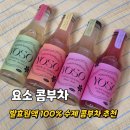 다이어트 음료 추천 발효원액 100% 수제 콤부차 요소콤부차