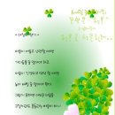 아침향기 이미지