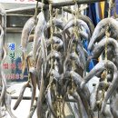 진미양품 이미지