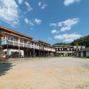 놀스타일 이미지