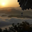 두물머리 이미지