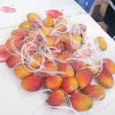 최운기 | [부산강소농 SNS] 애플망고체험 후기