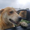 복중농장 이미지