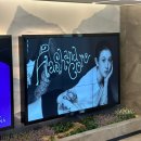 정밀아콘서트<4월의위로> | [251026] 백예린 단독콘서트 〈Flash and Core〉 관람 후기