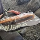 뉴킹스할인마트 | 중국 대련 뉴마트 코티커피 홀리데이, 파빌리온 모어요거트 핫크러시 맛집 정리