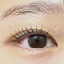 일리즈눈썹&속눈썹펌 | 두류동 속눈썹 어나더유뷰티 속눈썹펌 + 블랙틴팅, 눈썹왁싱 만족 후기