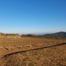법수-1 이미지