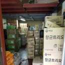 크린상사 이미지