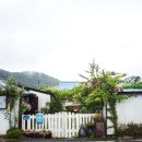 로뎀나무 이미지