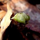 들꽃풍경 이미지