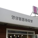 에스에이치코리아 이미지
