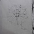 꽃그림 보타니컬아트 이미지