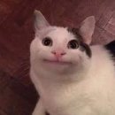 요가&소도구 필라테스 이미지