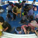 흥해서부초 병설유치원 이미지