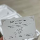 청도 운문댐 하류보 노지캠핑 후기 / 성시경 경탁주 후기 / LG시네마빔큐브 후기