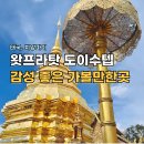 좋은생각 | 왓프라탓 도이수텝 사원 후기 생각보다 감성 좋은곳.