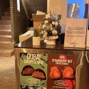 베얼스이얼스(Bear's ears) | 부산 Bear's Ears 두쫀쿠 리뷰!!