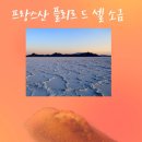 플뢰르드로투스