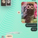 유림어린이집 | 2026년의 첫 시작, 1월