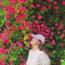 정원시장 | “강화도 당일치기 코스 추천 🚗 대룡시장·화개정원 모노레일 솔직후기 (+주차)”