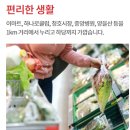 목포항도초등학교 이미지